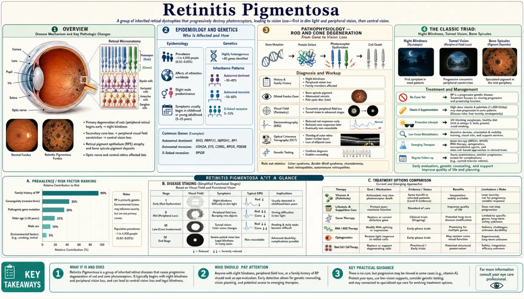 Retinitis Pigmentosa — scientific infographic poster
