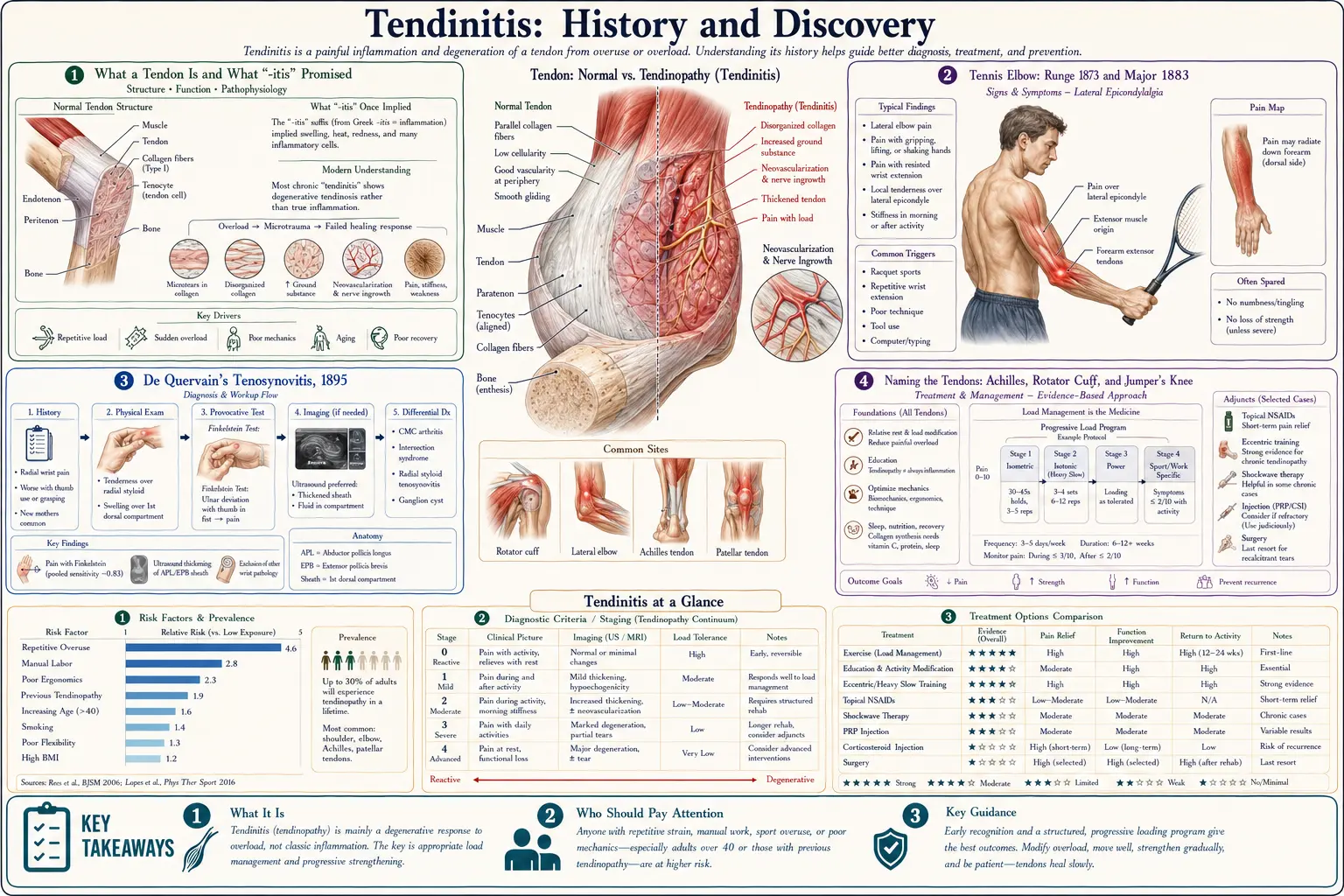 History — scientific infographic poster