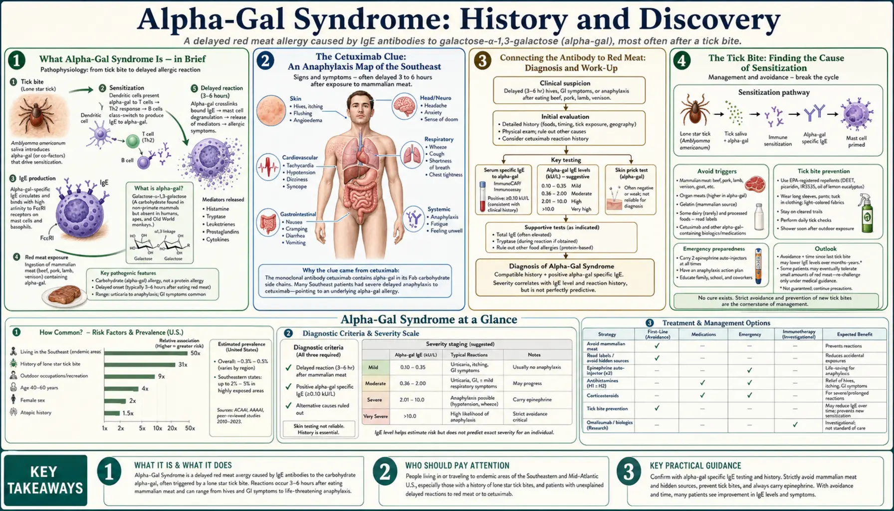 History — scientific infographic poster