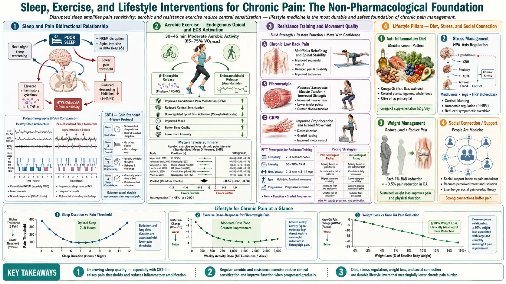 Sleep Exercise and Lifestyle for Chronic Pain — scientific infographic poster