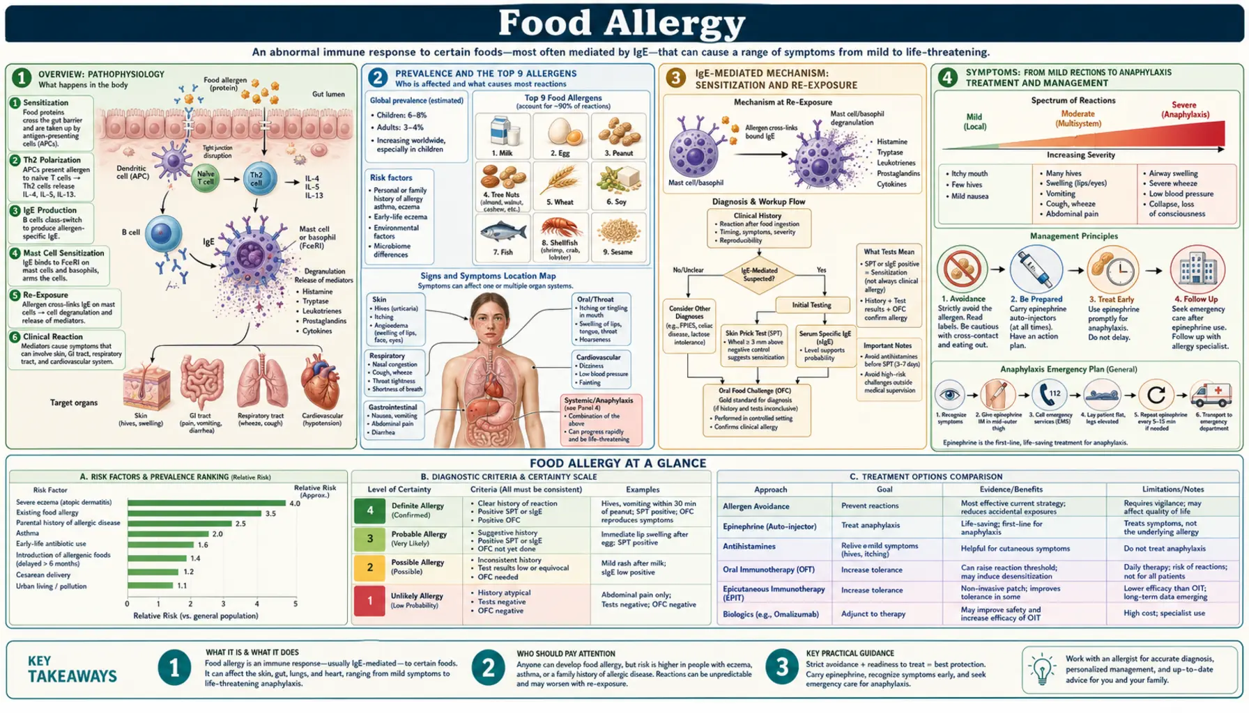Food Allergy — scientific infographic poster
