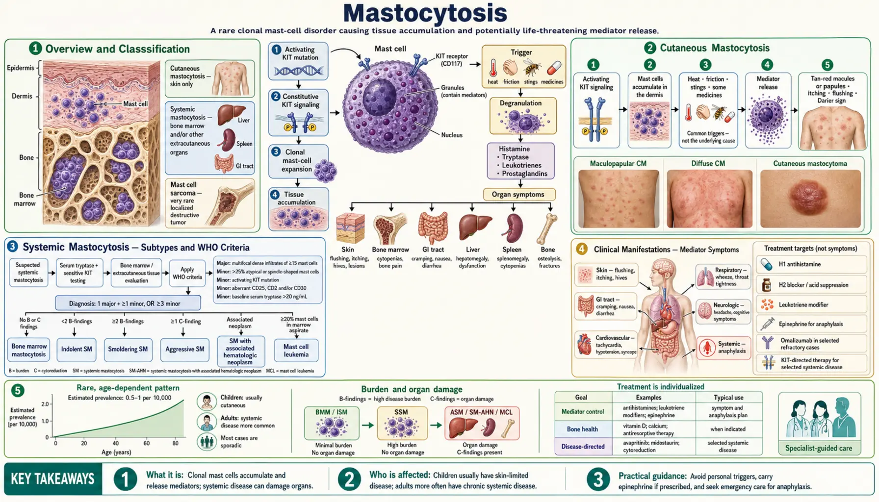 Mastocytosis — scientific infographic poster