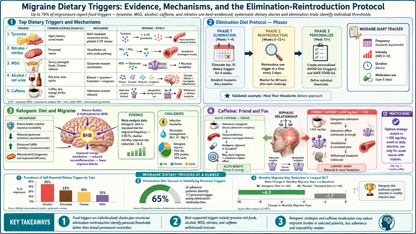 Diet Triggers and Elimination Protocol — scientific infographic poster