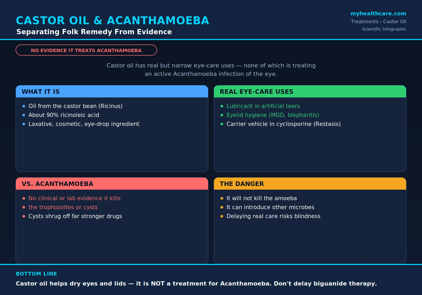 Castor oil and Acanthamoeba: the evidence — scientific infographic poster