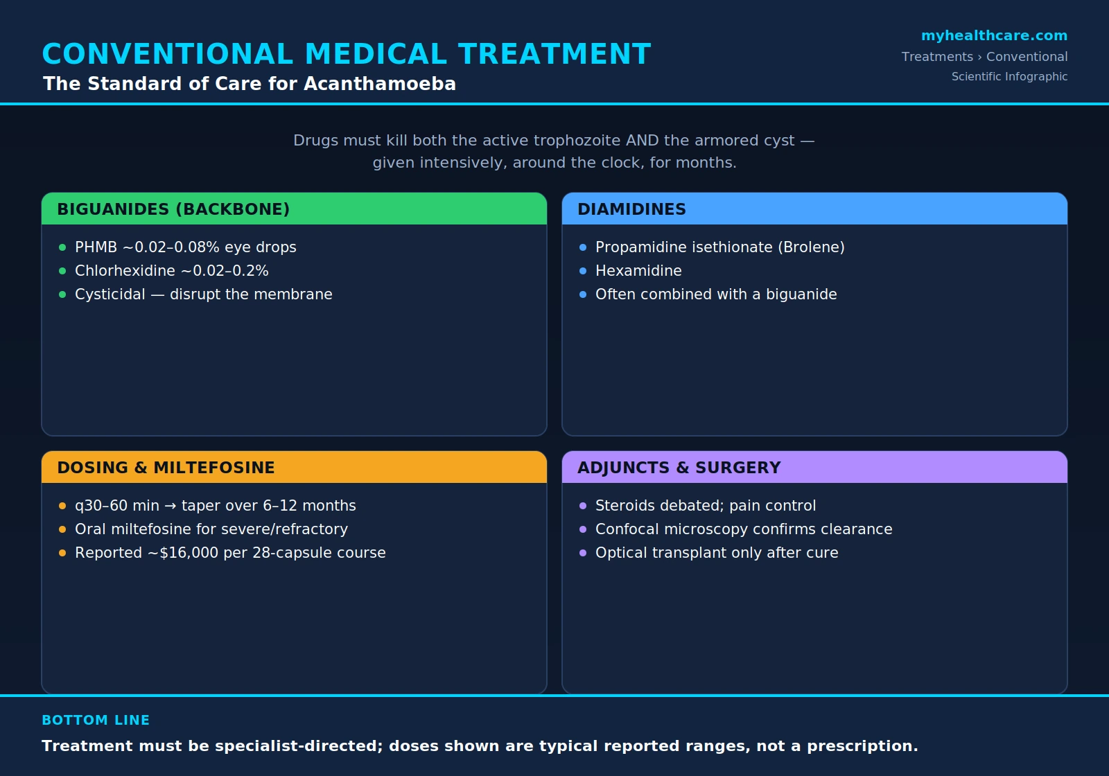 Conventional medical treatment of Acanthamoeba — scientific infographic poster