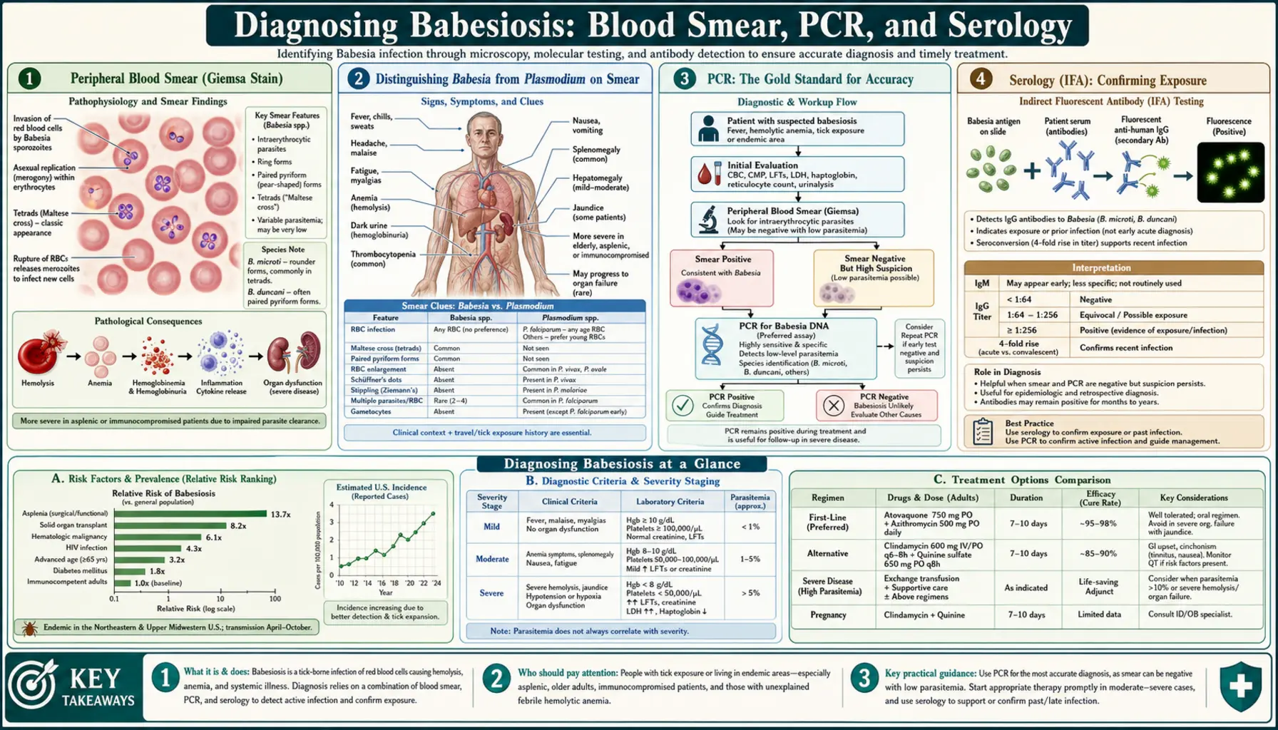 Diagnosis Blood Smear and PCR — scientific infographic poster