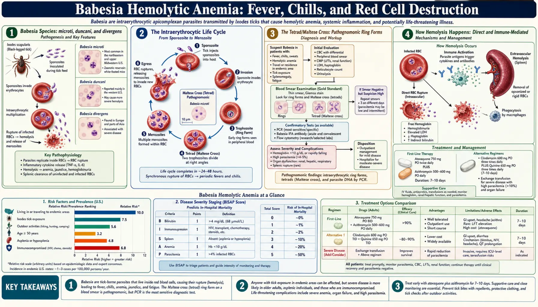 Hemolytic Anemia and Flu Symptoms — scientific infographic poster