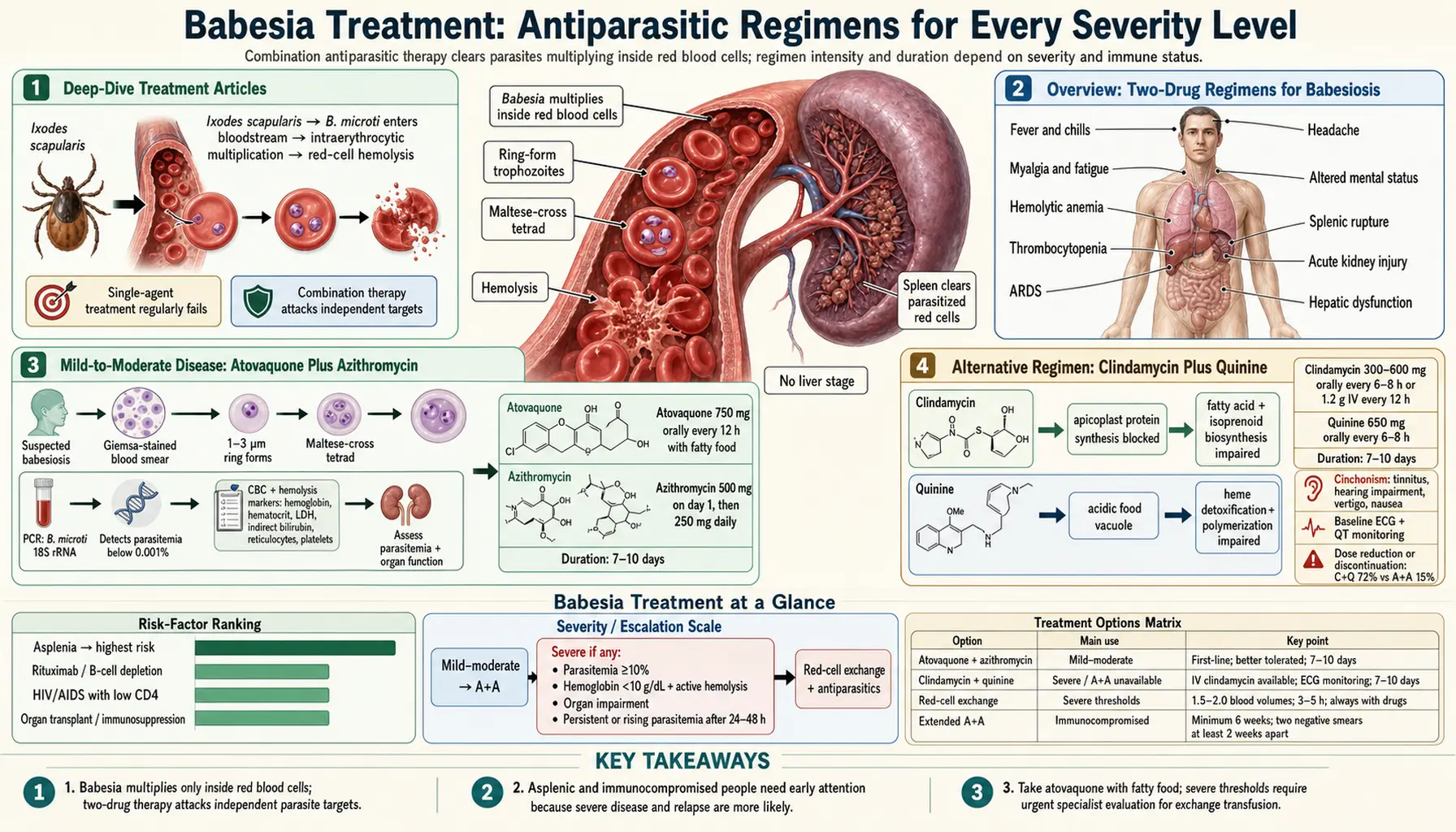 Treatments — scientific infographic poster