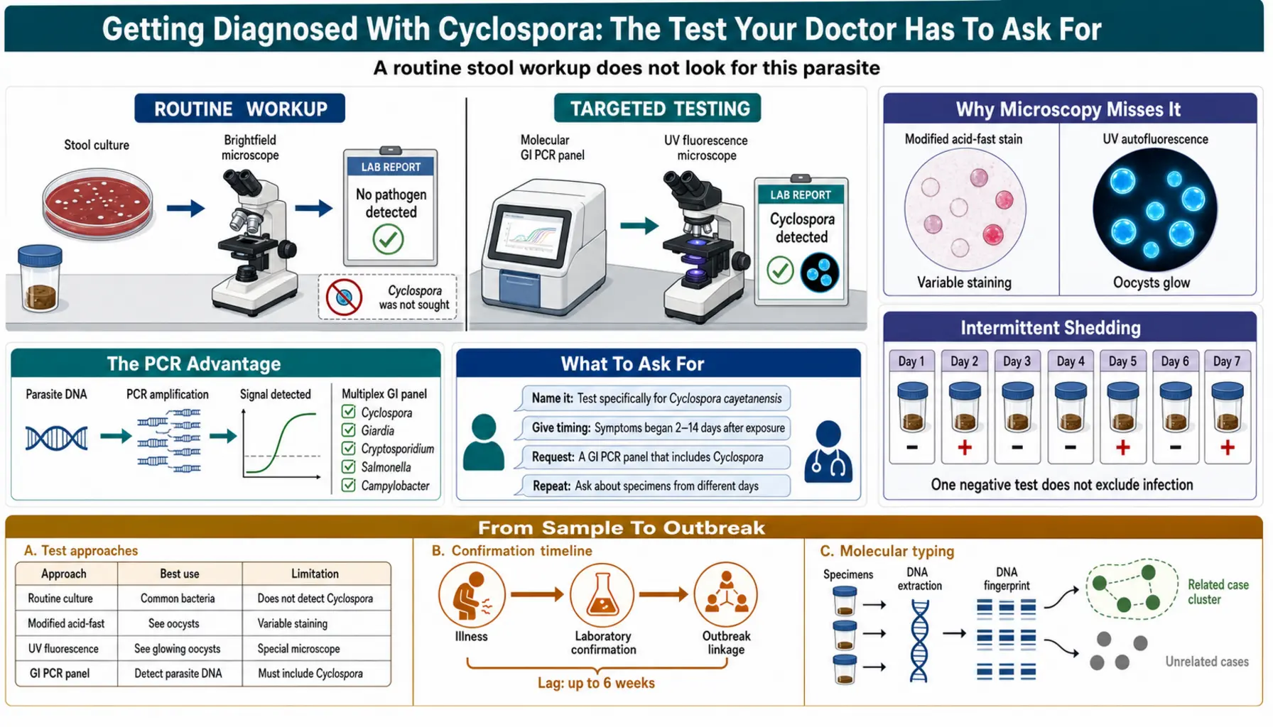 Diagnosis and Testing — scientific infographic poster