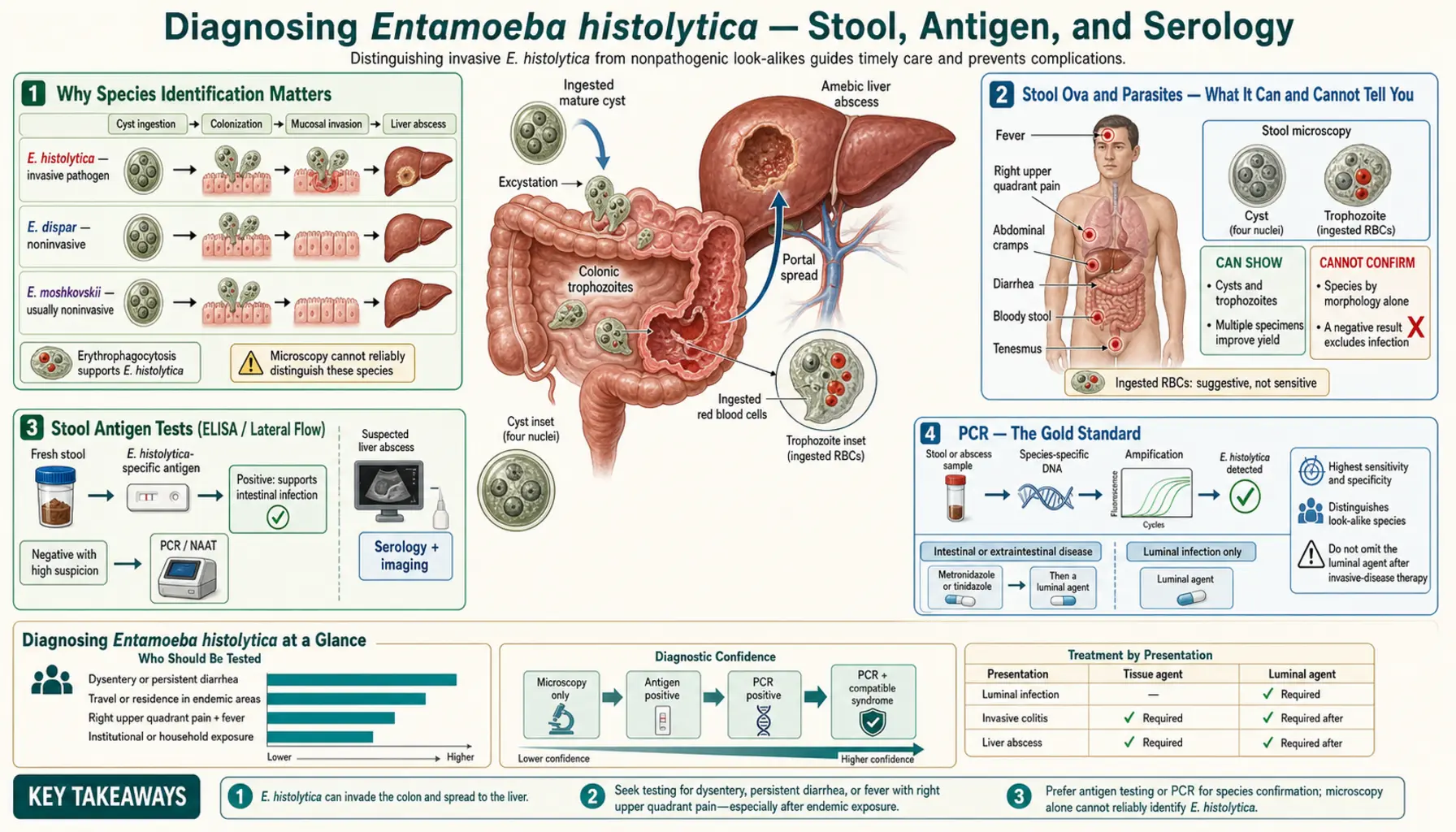 Diagnosis Stool Ova and Parasites — scientific infographic poster
