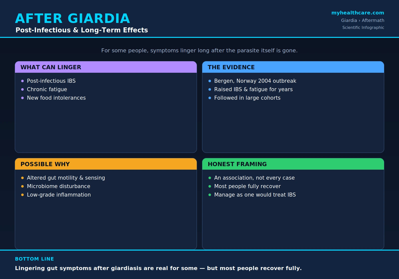 Post-infectious and long-term effects of giardiasis — scientific infographic poster