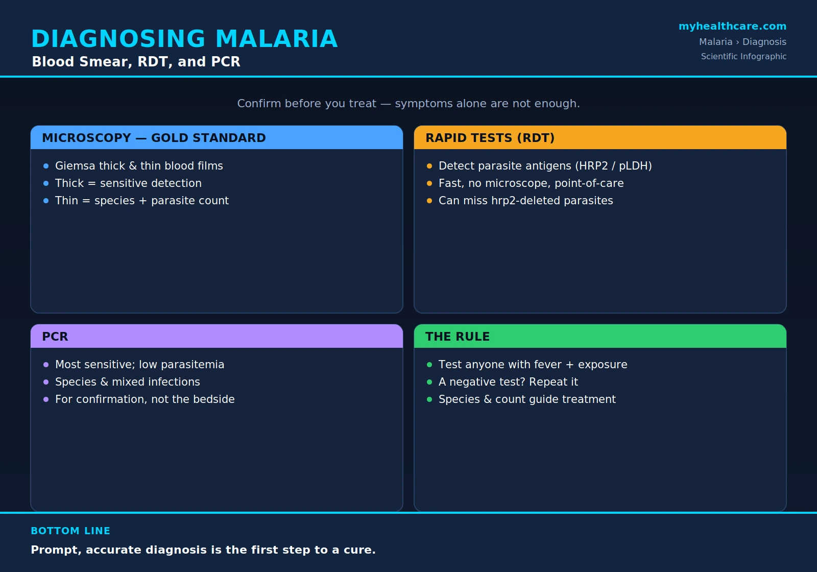 Diagnosing malaria — scientific infographic poster