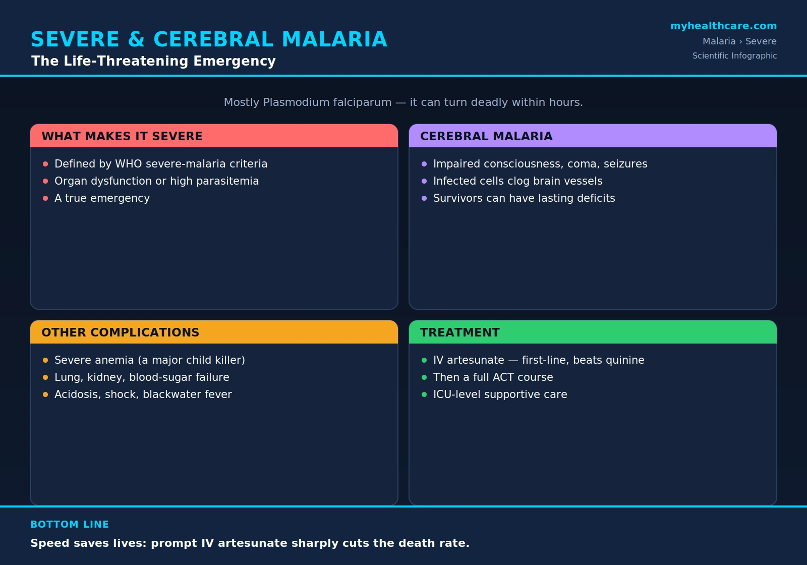 Severe and cerebral malaria — scientific infographic poster