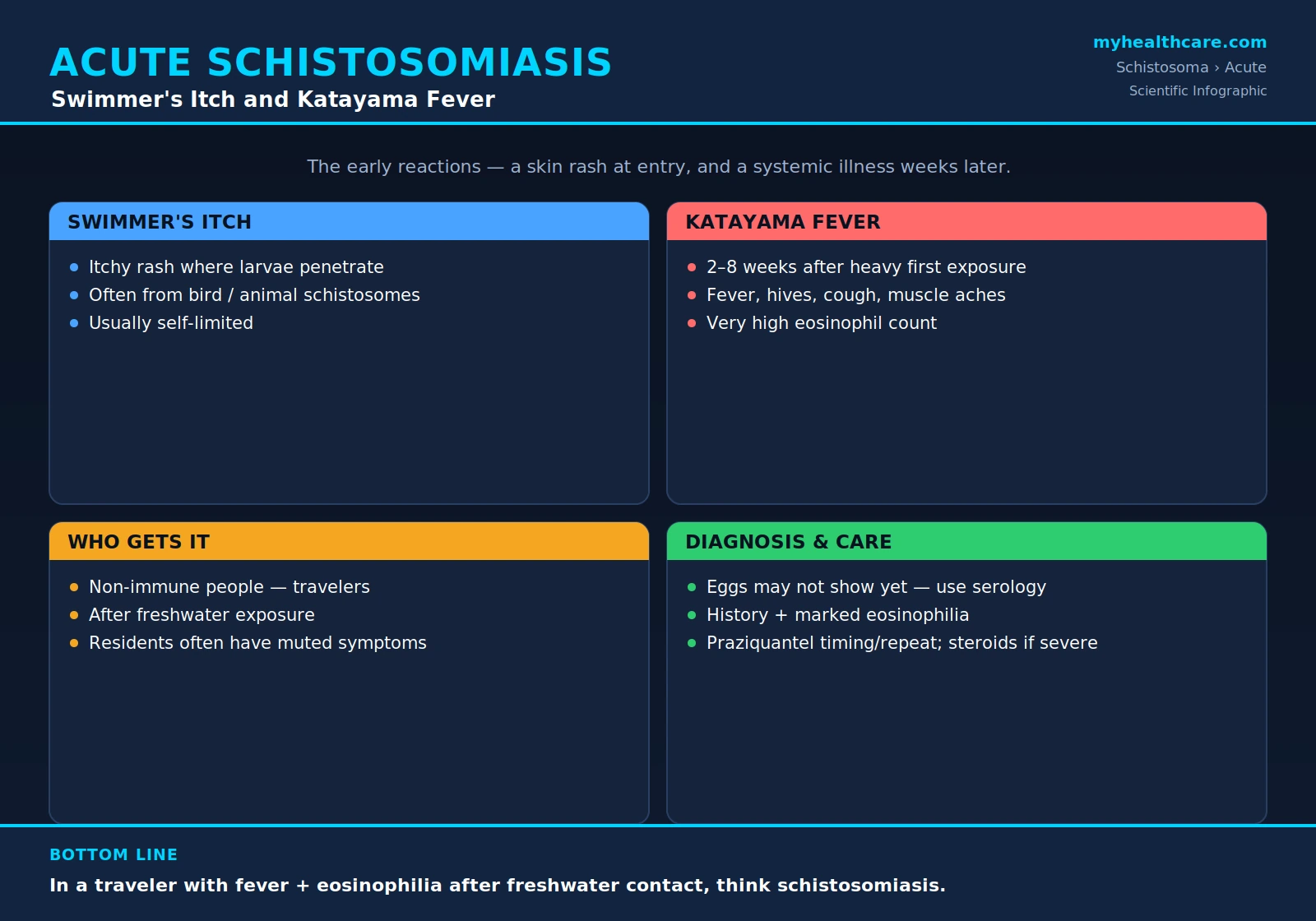 Acute schistosomiasis and swimmer's itch — scientific infographic poster