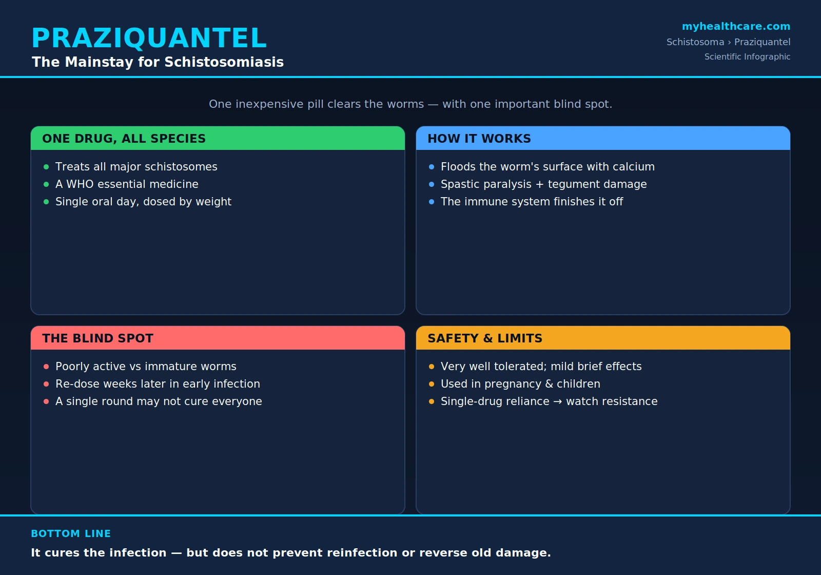 Praziquantel treatment for schistosomiasis — scientific infographic poster