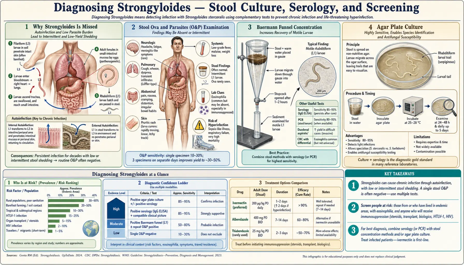 Diagnosis Stool Culture and Serology — scientific infographic poster
