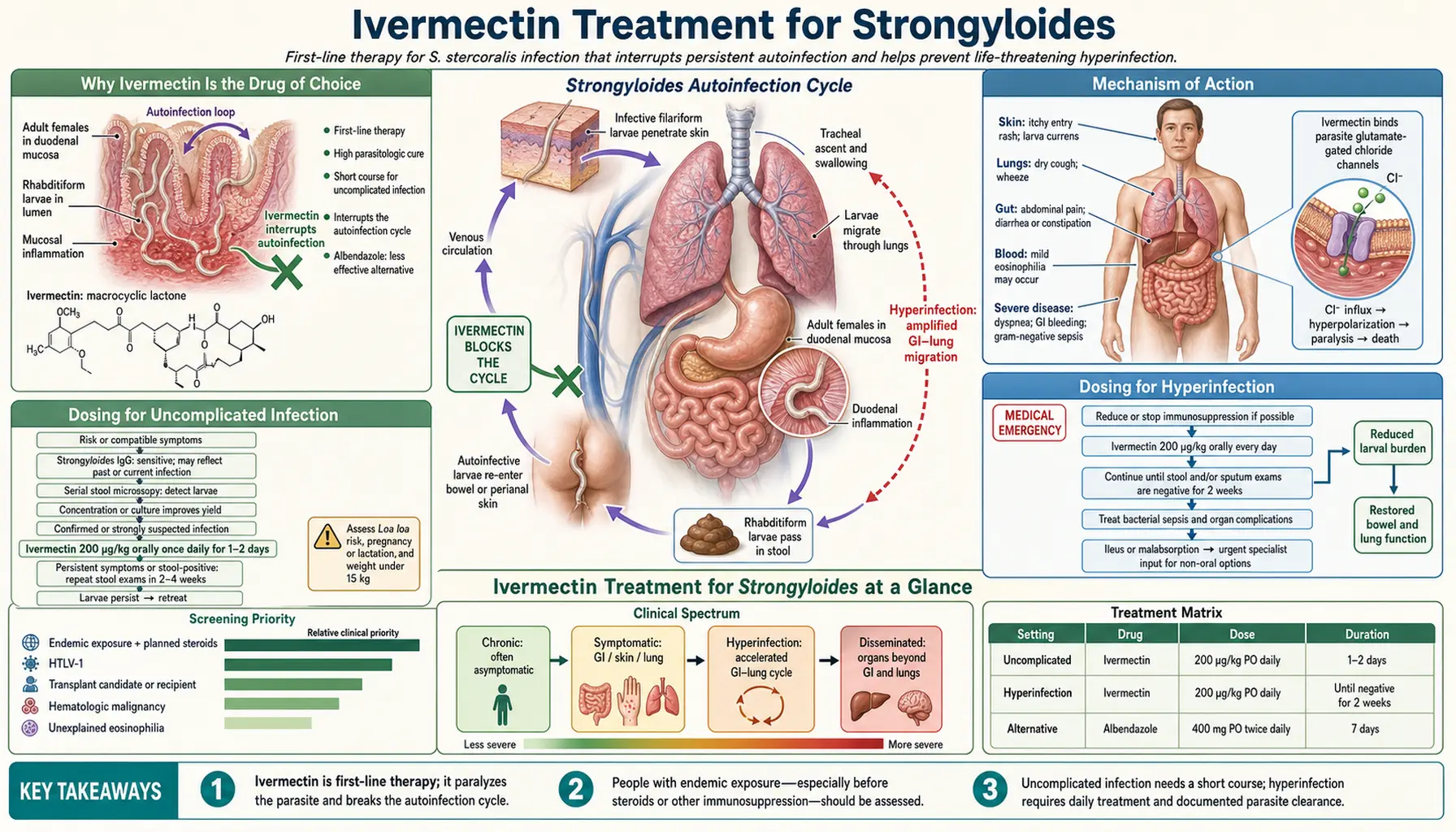 Ivermectin Treatment — scientific infographic poster