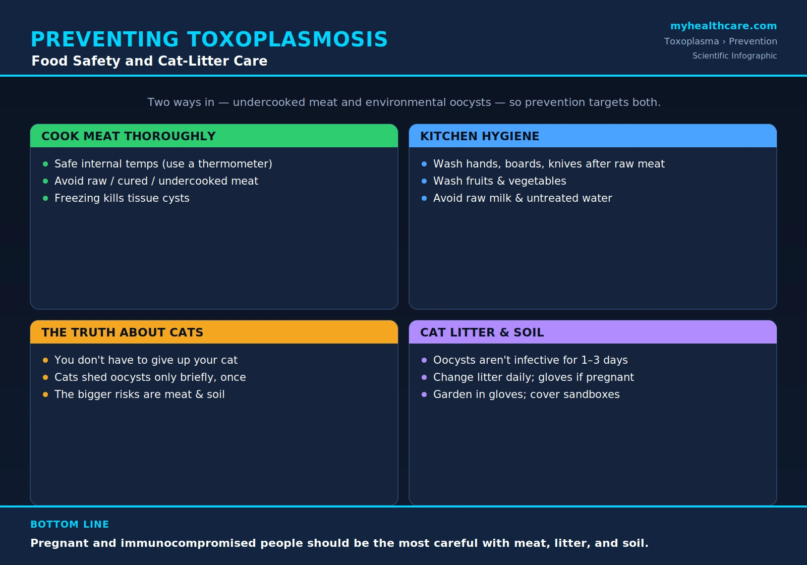 Preventing toxoplasmosis: food and cat safety — scientific infographic poster