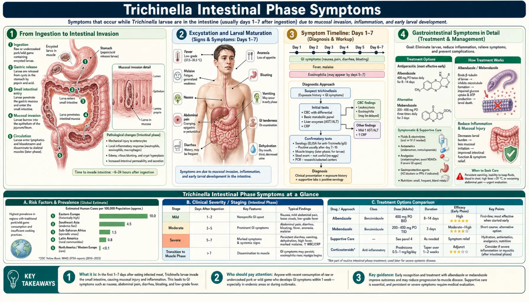 Intestinal Phase Symptoms — scientific infographic poster