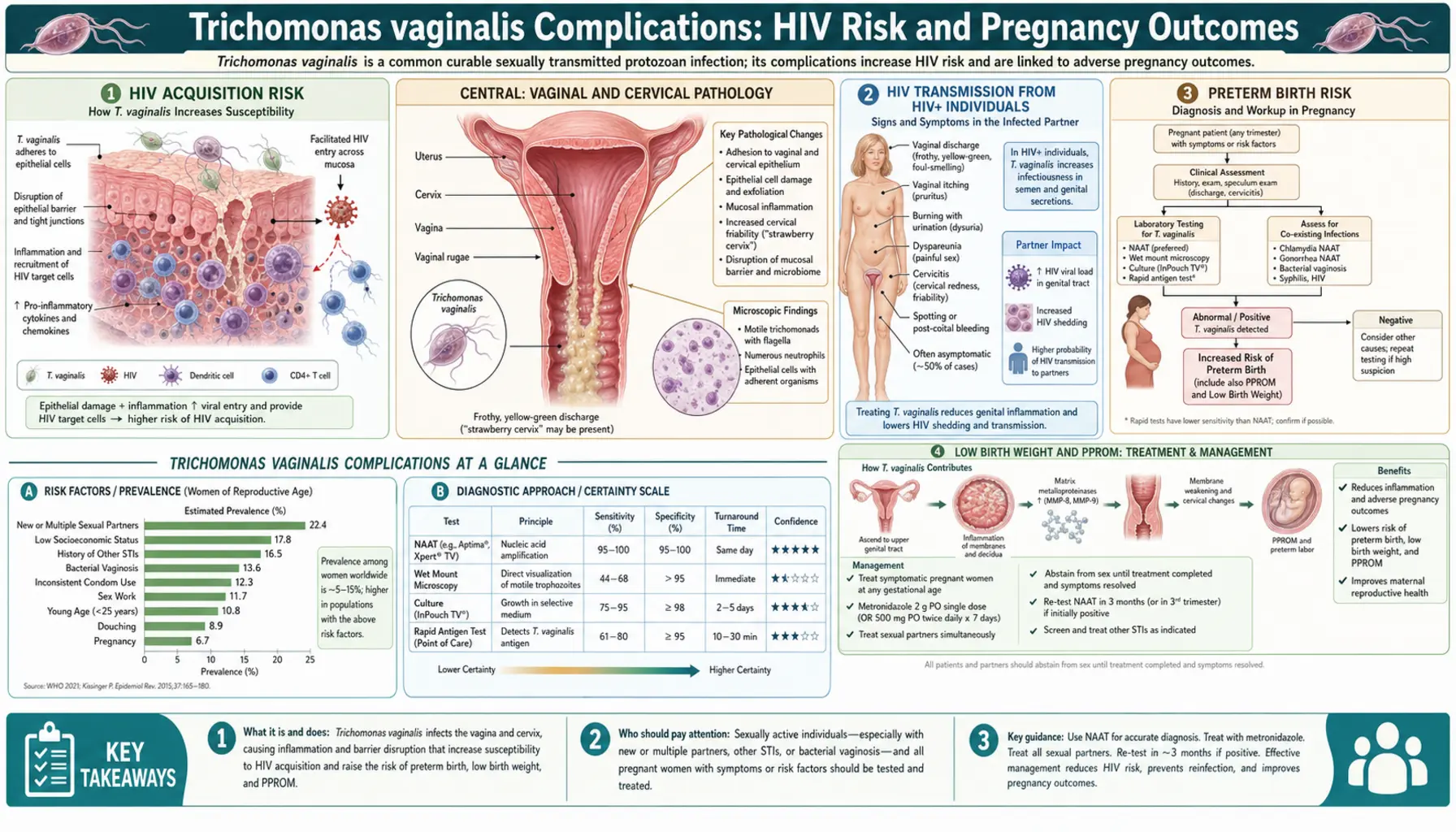 Complications and Pregnancy Risks — scientific infographic poster
