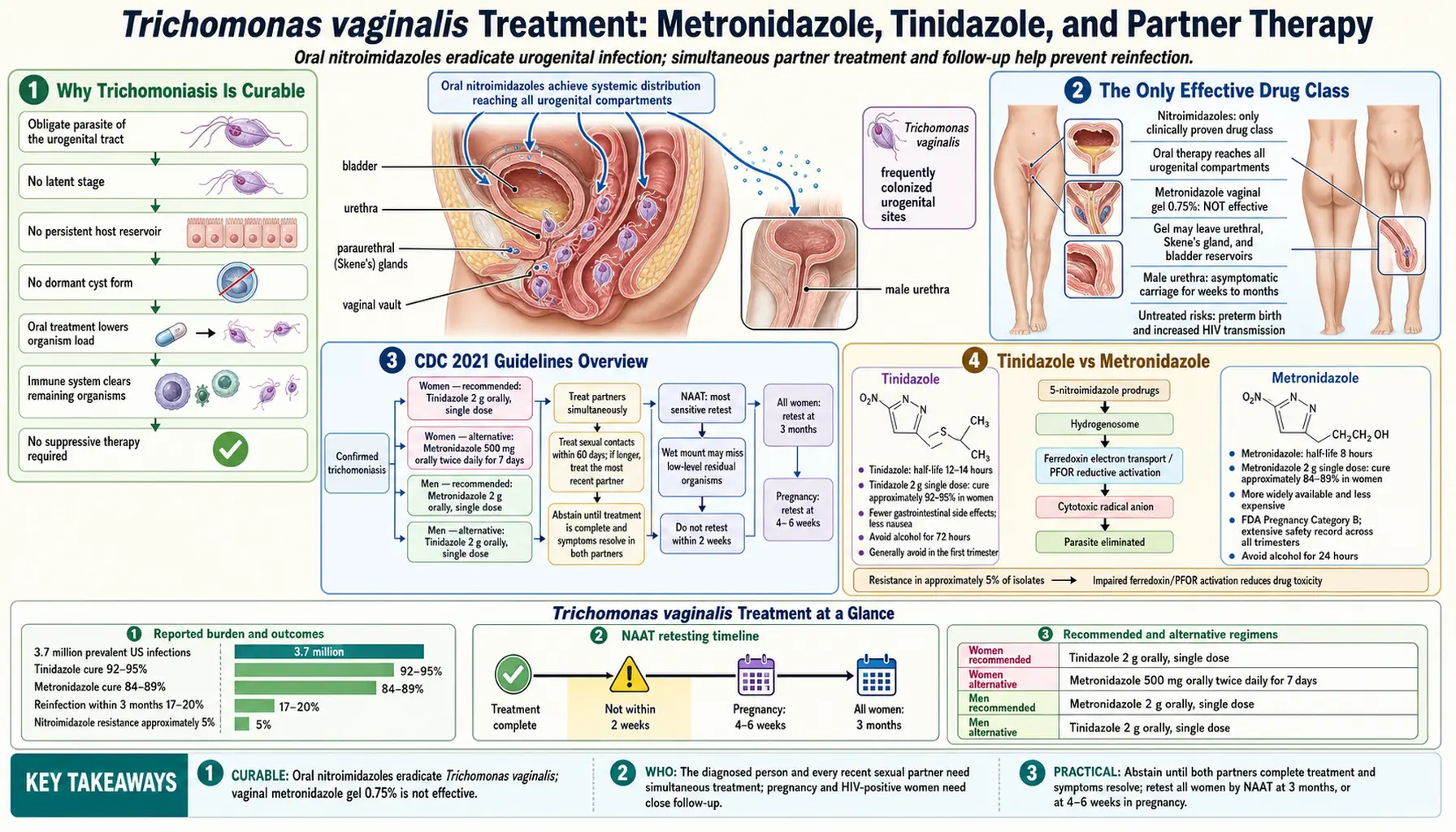 Treatments — scientific infographic poster