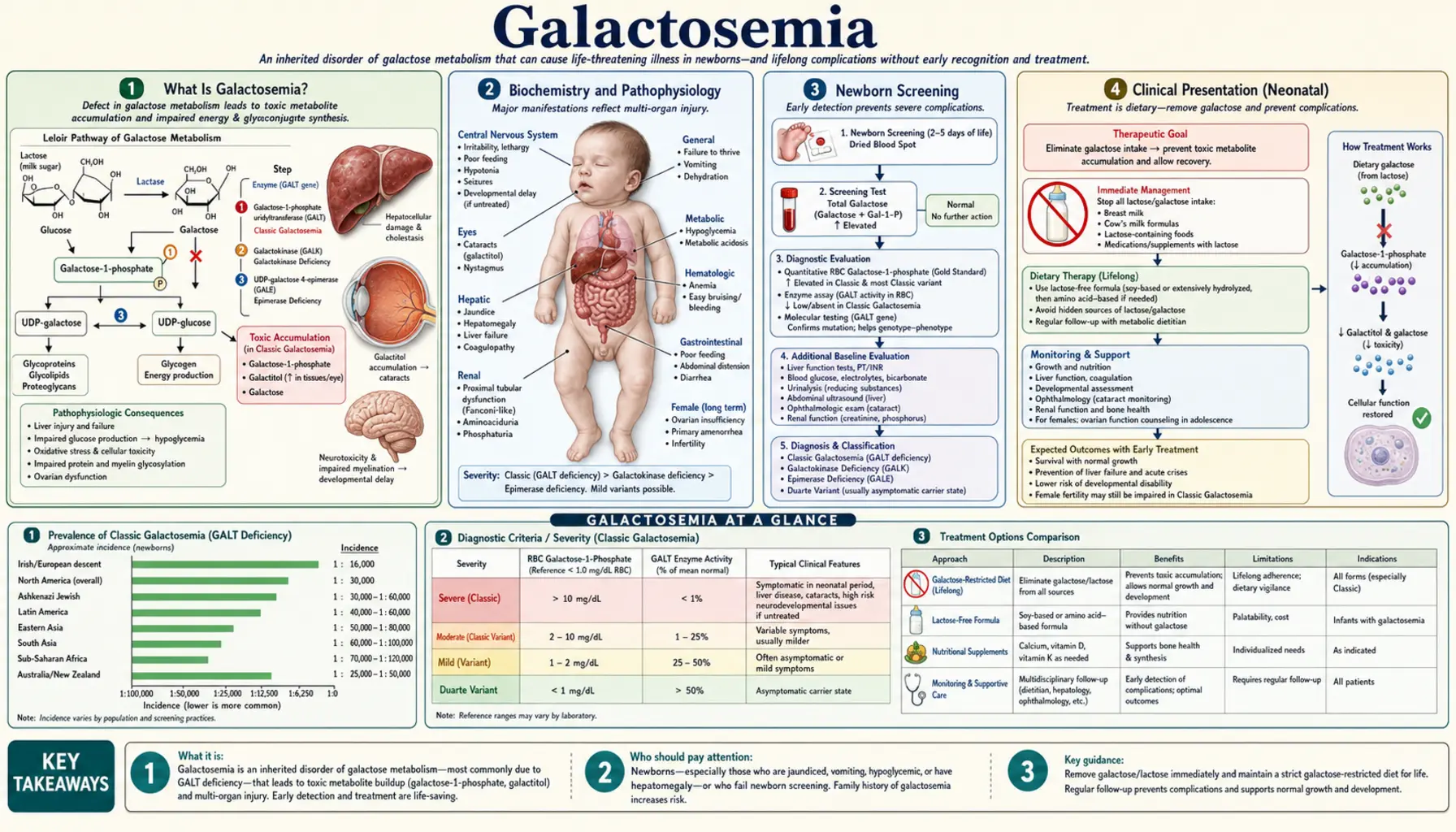 Galactosemia — scientific infographic poster