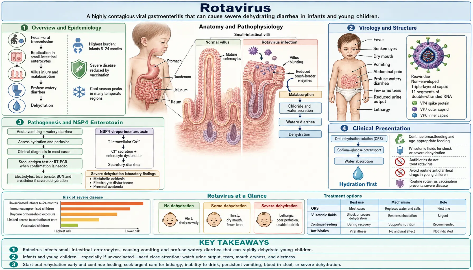 Rotavirus — scientific infographic poster