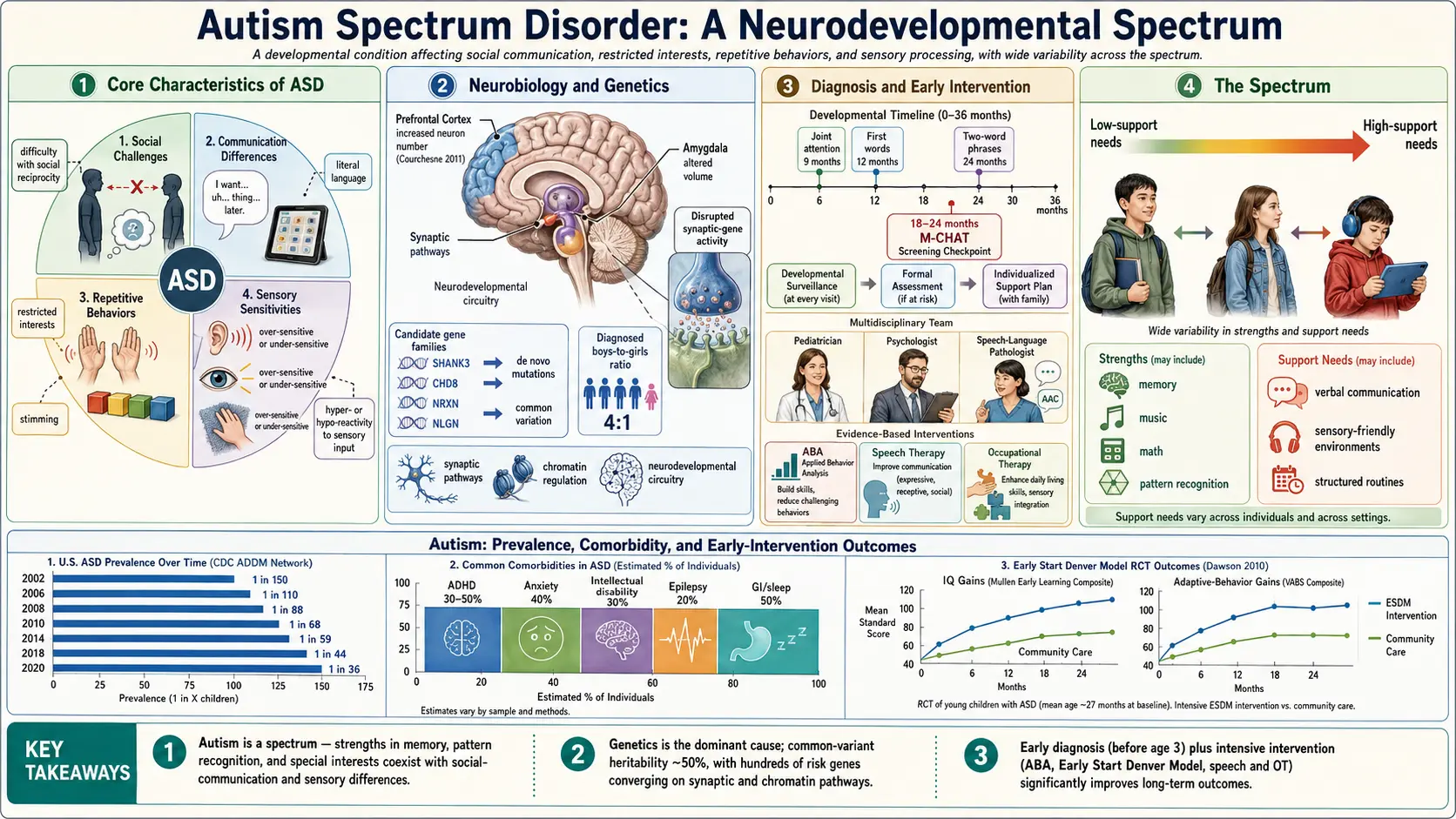 Autism — scientific infographic poster