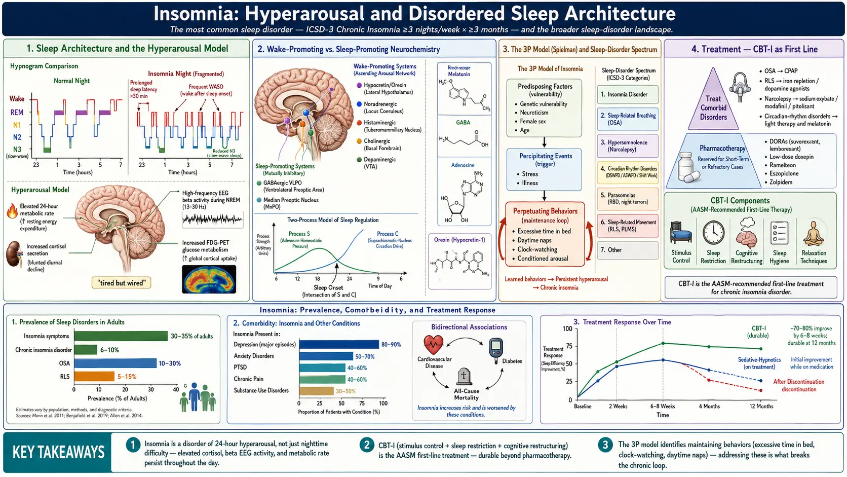 Insomnia — scientific infographic poster