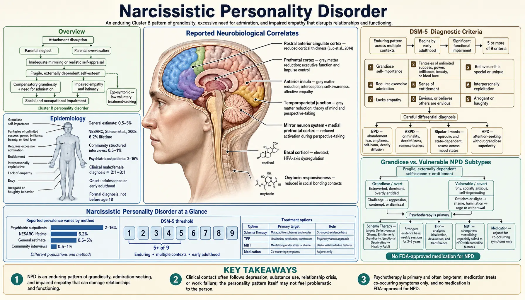 Narcissistic Personality Disorder — scientific infographic poster