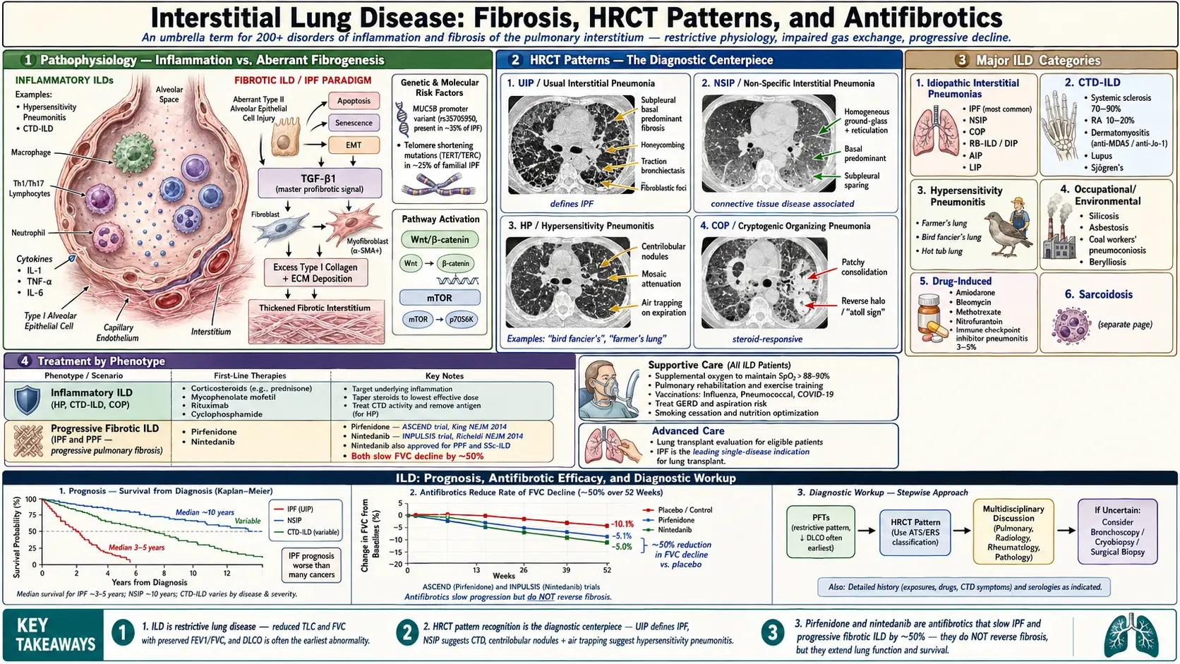 Interstitial Lung Disease — scientific infographic poster
