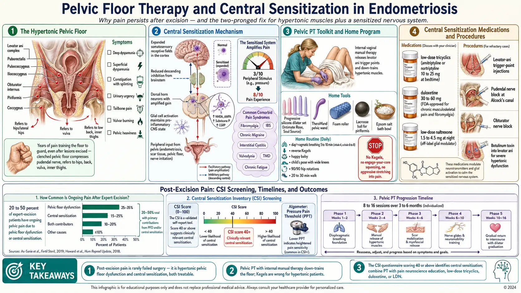 Pelvic Floor Therapy and Central Sensitization — scientific infographic poster