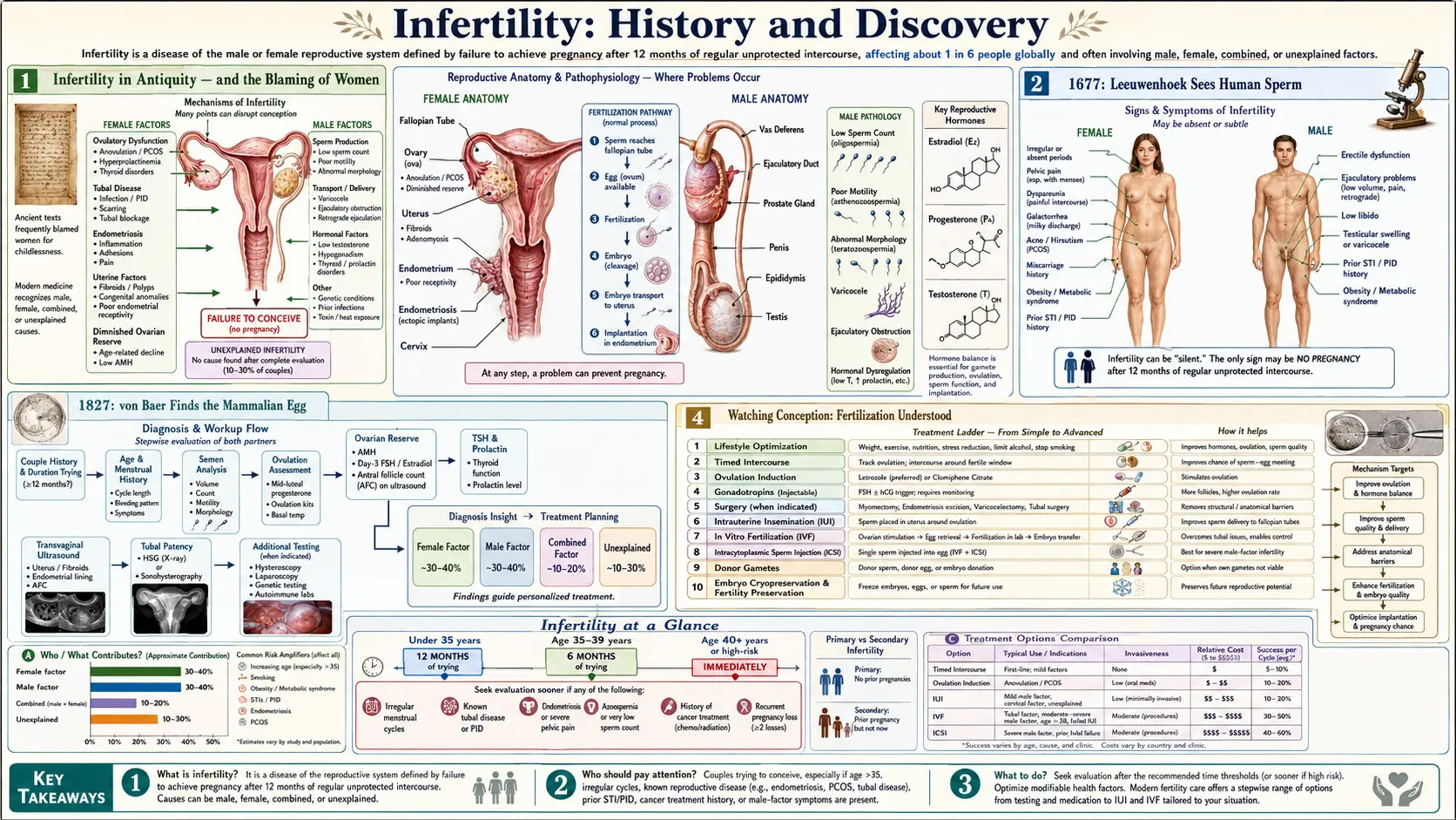 History — scientific infographic poster