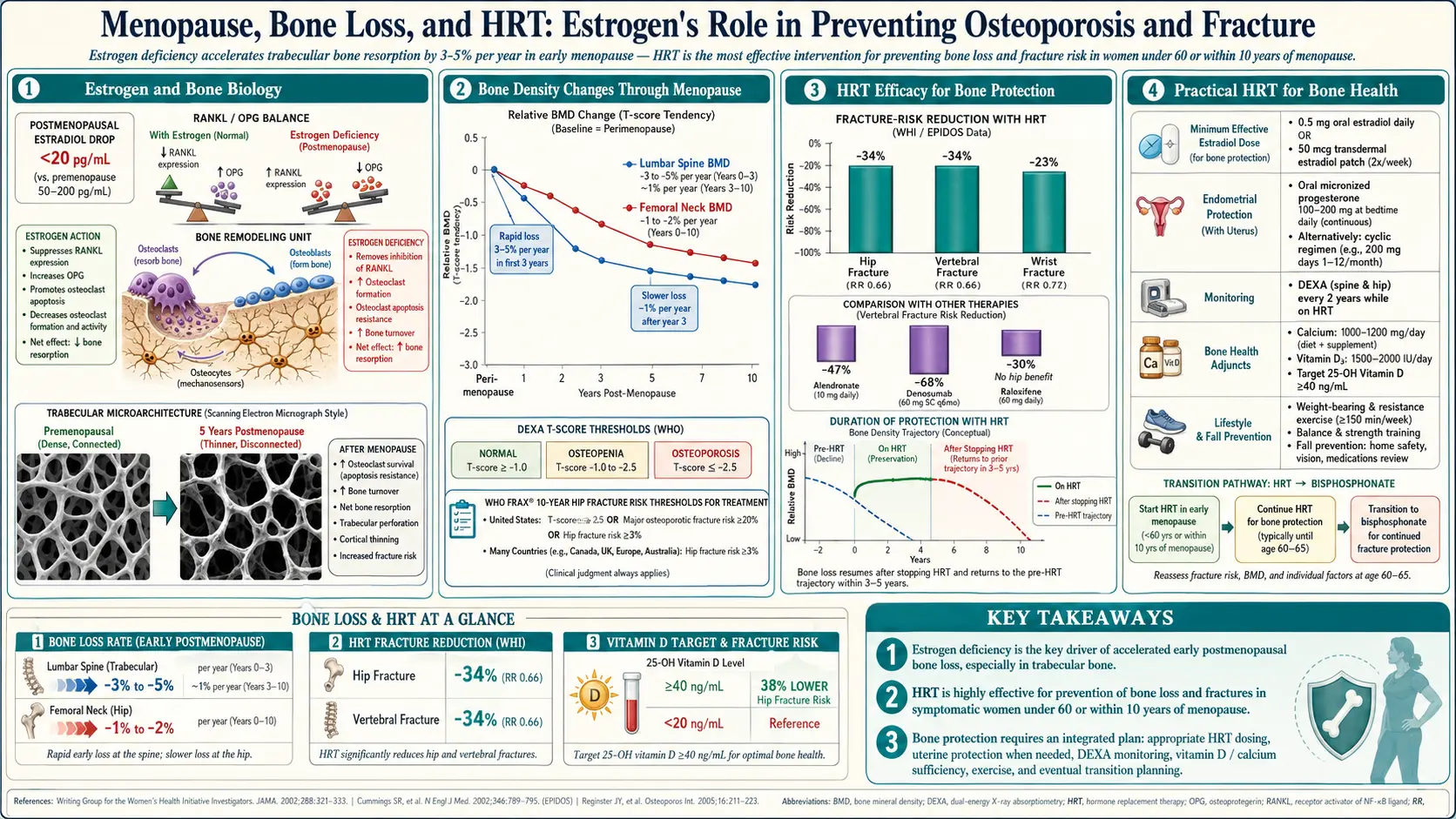 Bone Loss Prevention and HRT — scientific infographic poster