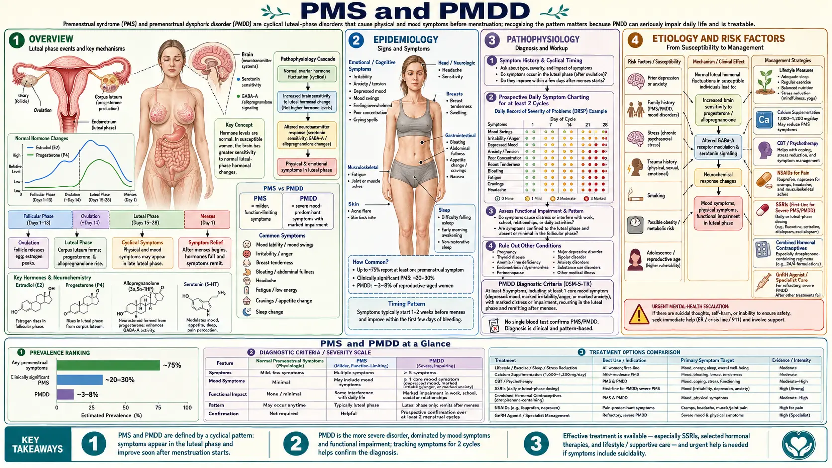 PMS and PMDD — scientific infographic poster