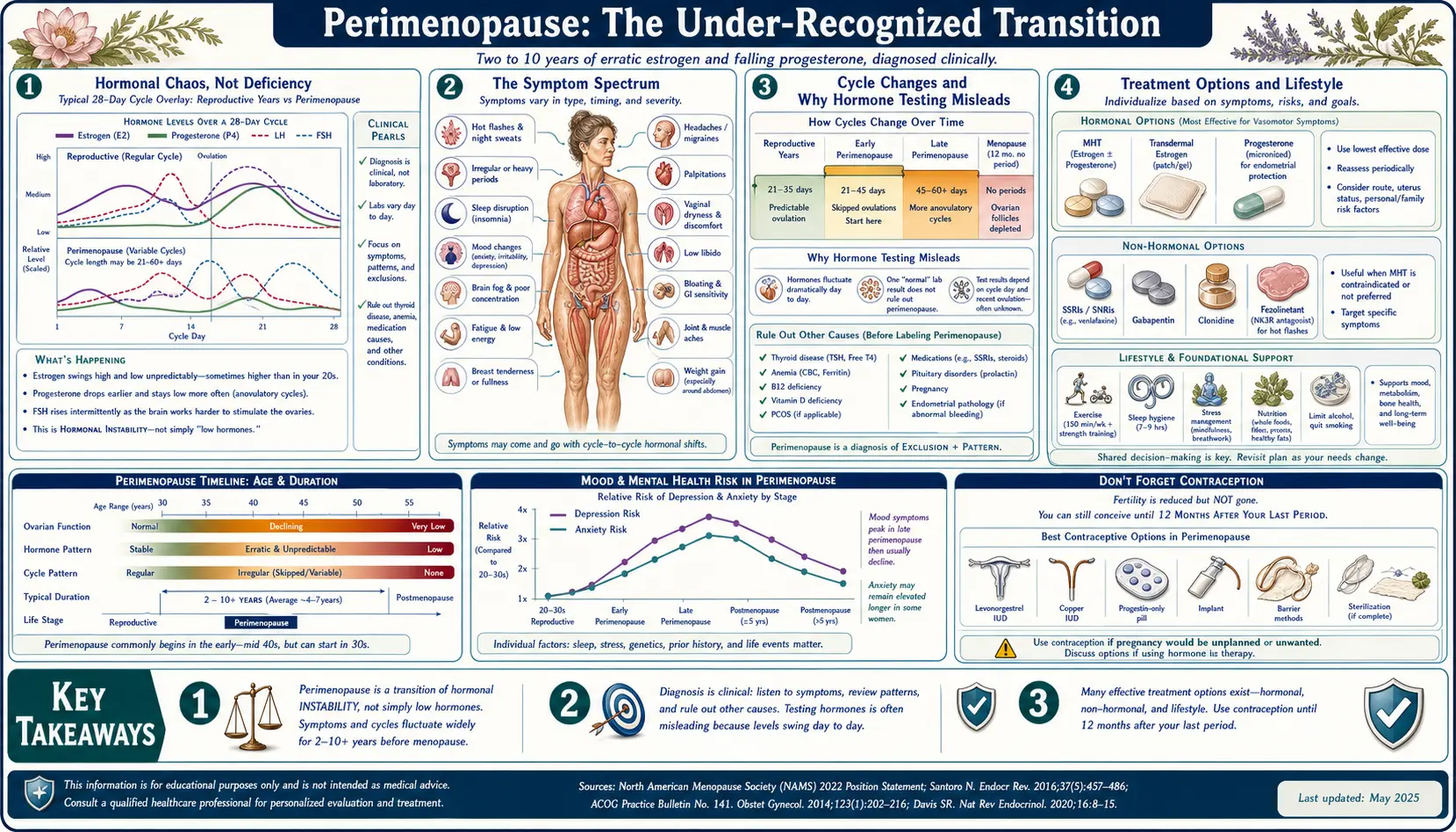 Perimenopause — scientific infographic poster