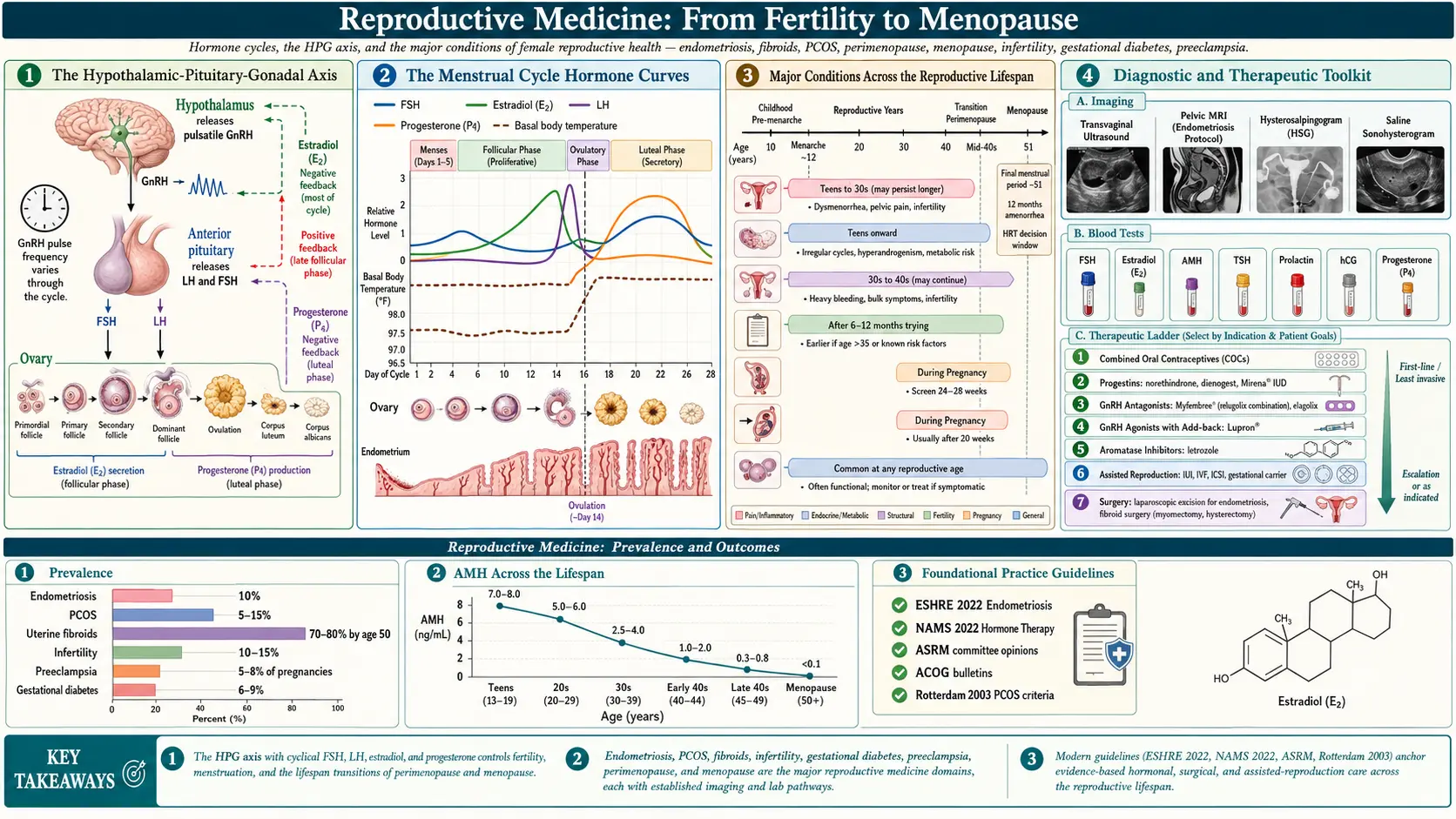 Reproductive Medicine — scientific infographic poster