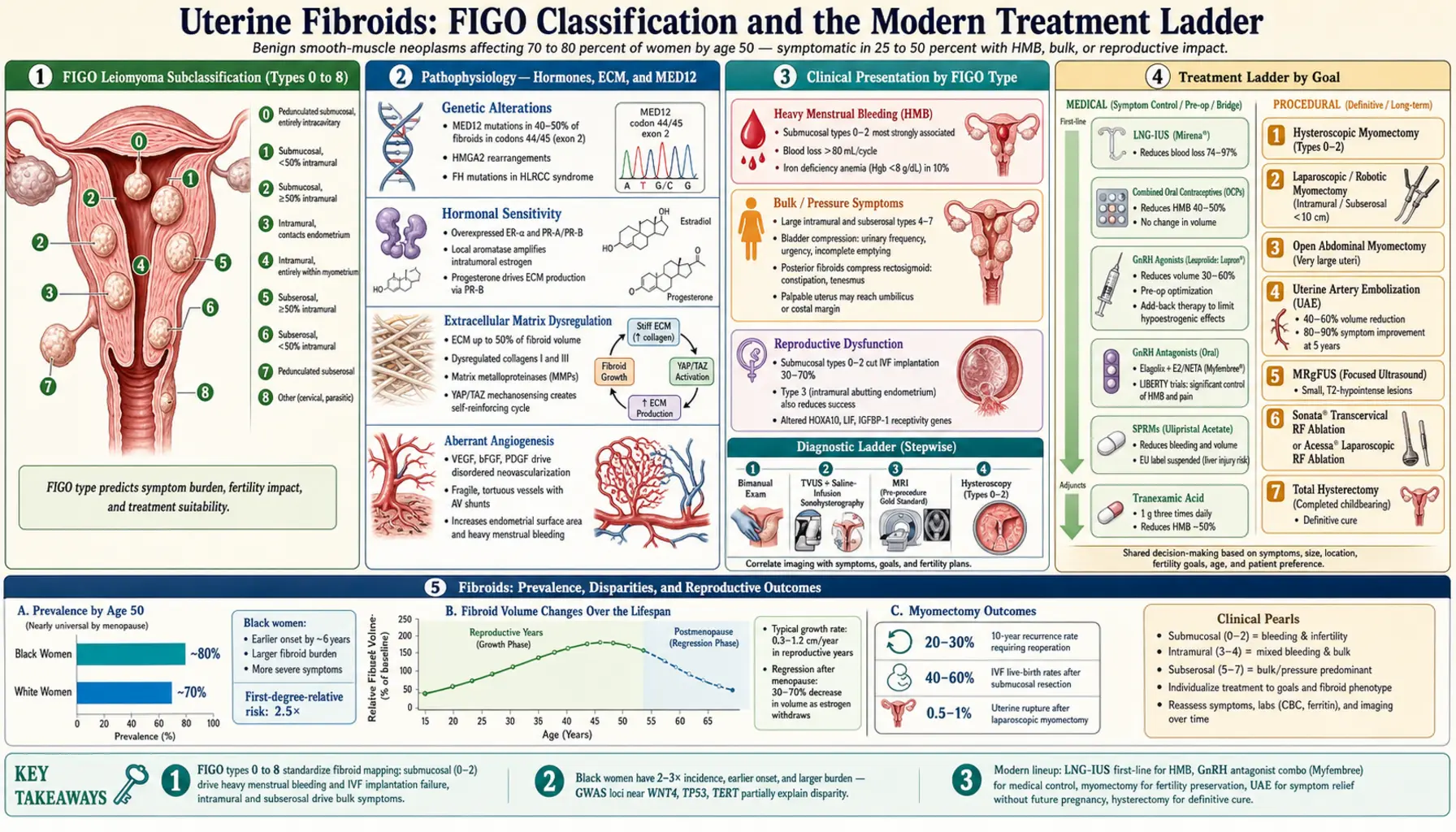Uterine Fibroids — scientific infographic poster