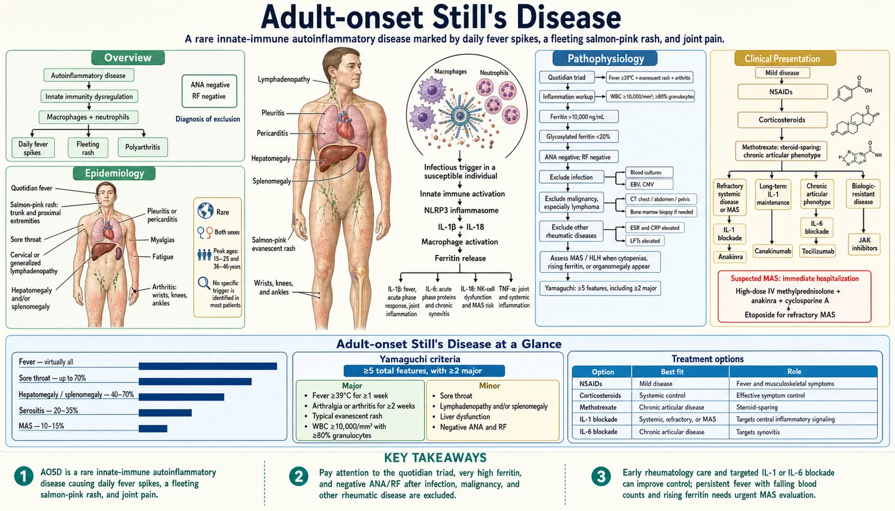 Adult Stills Disease — scientific infographic poster