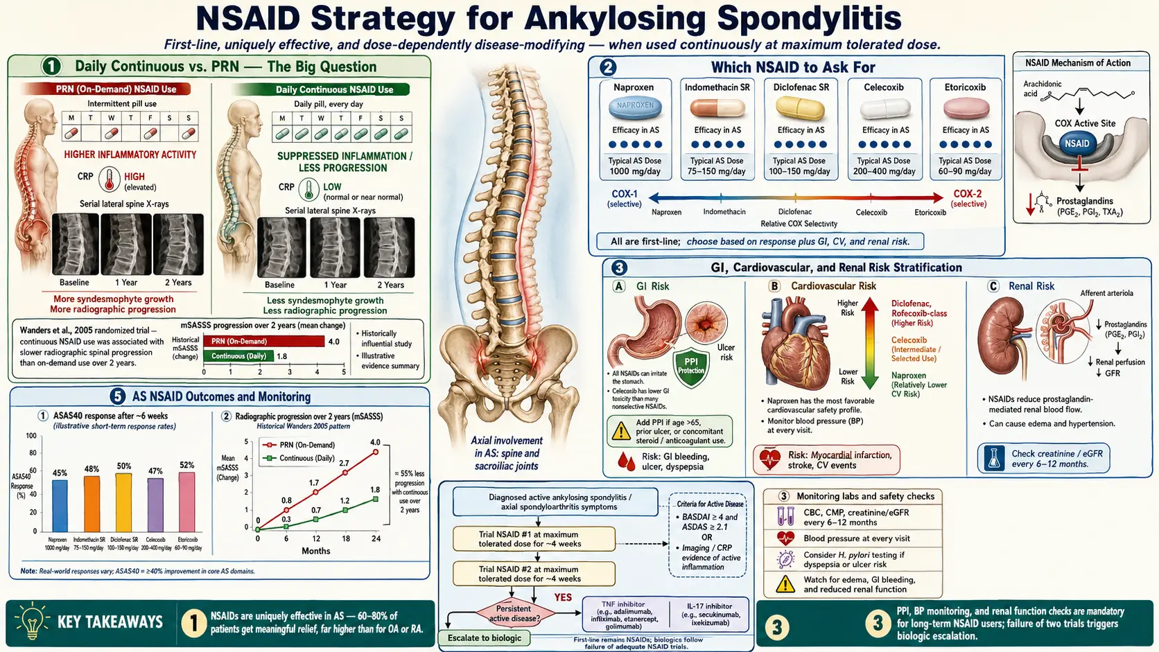 NSAID Strategy — scientific infographic poster
