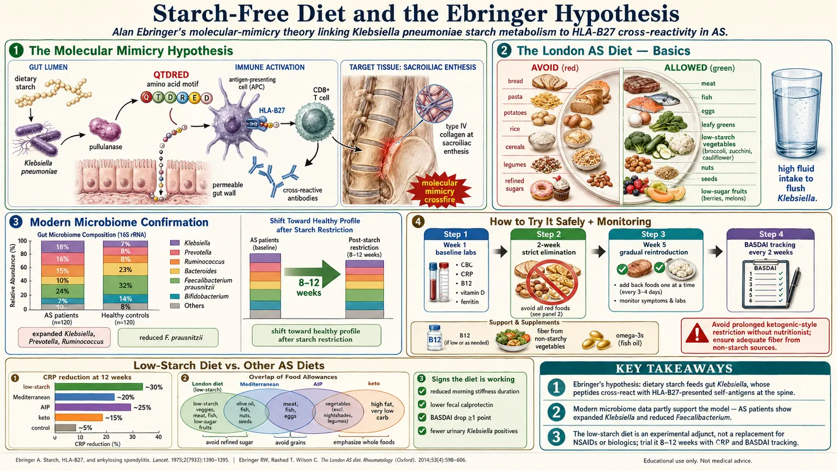 Starch Free Diet and Ebringer — scientific infographic poster