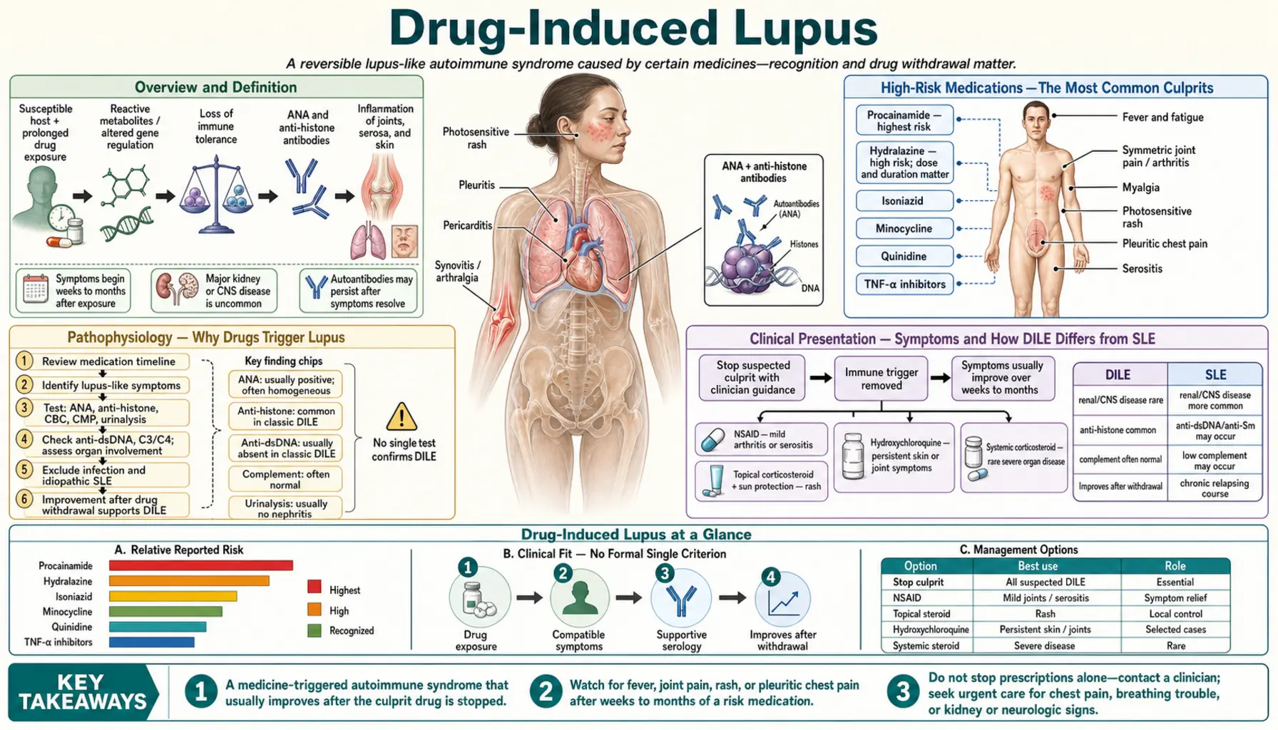 Drug Induced Lupus — scientific infographic poster