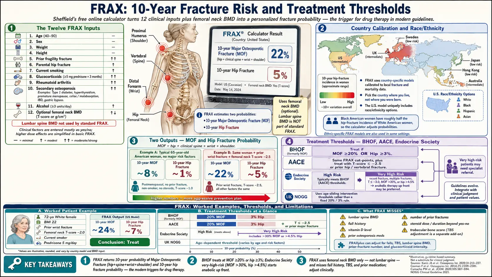 FRAX Risk Assessment and Treatment Thresholds — scientific infographic poster