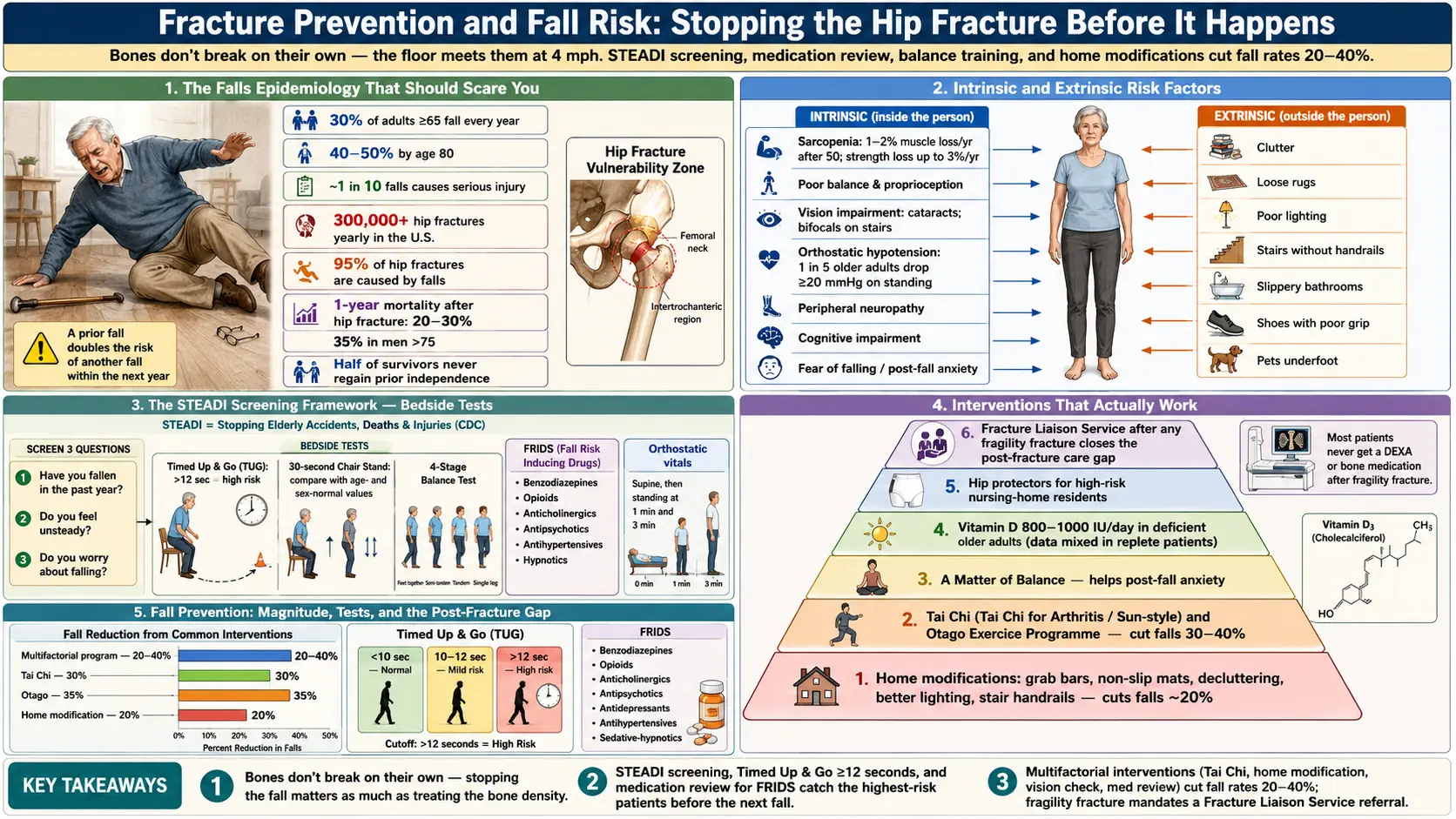 Fracture Prevention and Fall Risk — scientific infographic poster