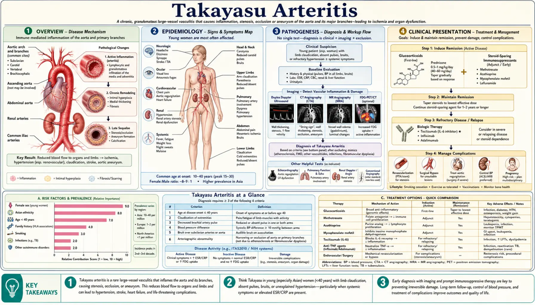 Takayasu Arteritis — scientific infographic poster