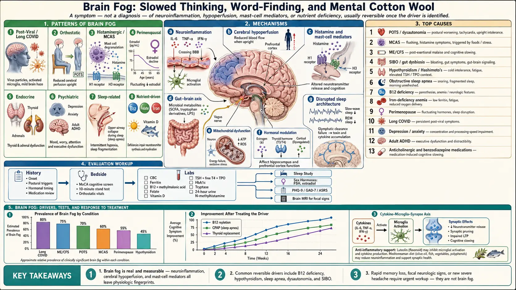 Brain Fog — scientific infographic poster