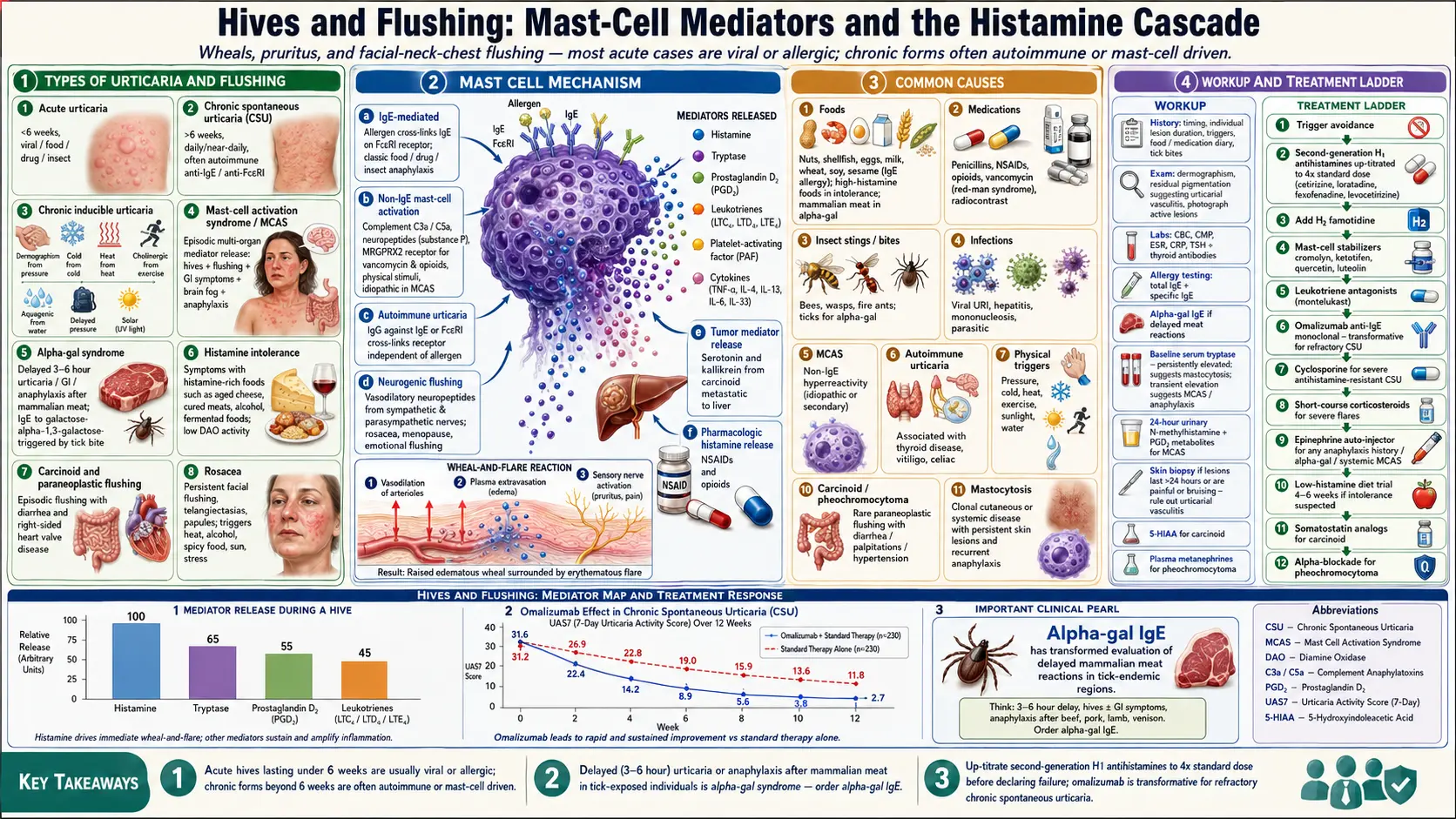 Hives Flushing — scientific infographic poster