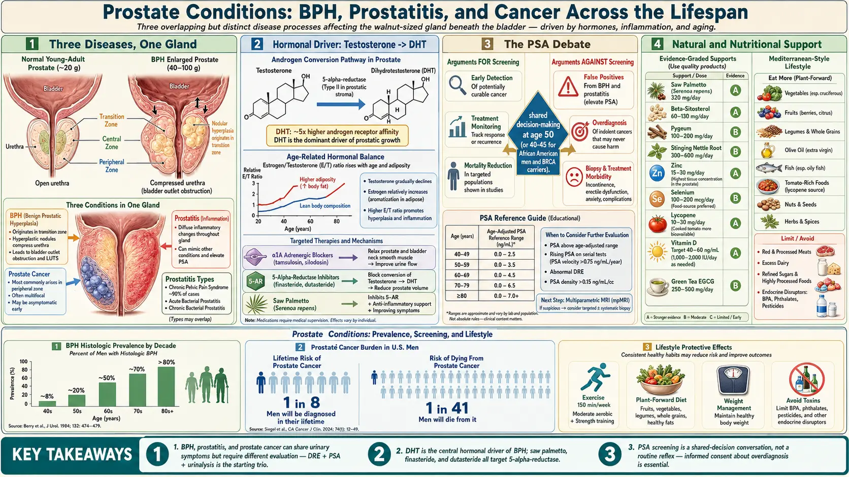 Prostate Conditions — scientific infographic poster
