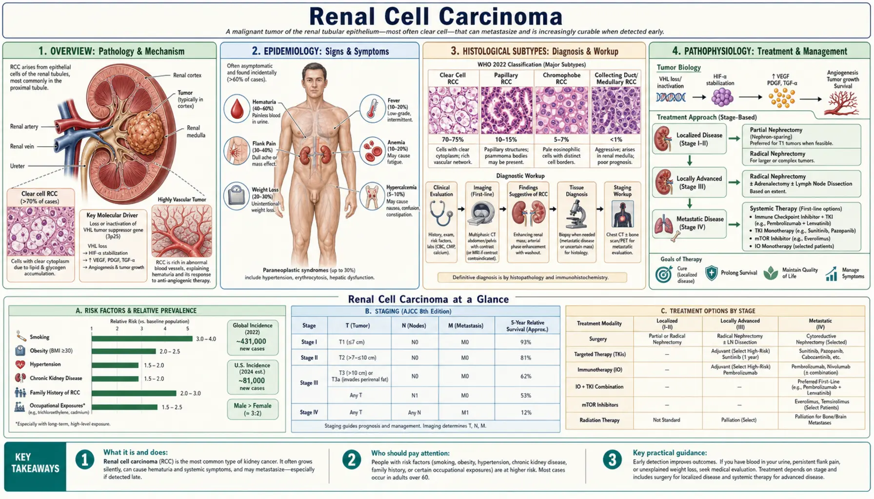 Renal Cell Carcinoma — scientific infographic poster