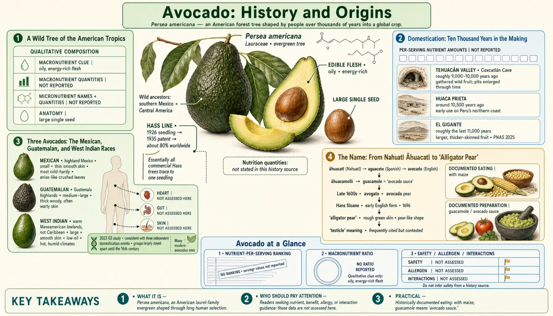 History — scientific infographic poster